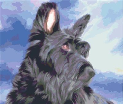 (image for) Max
